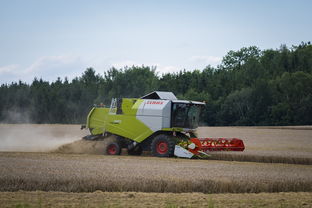 乐鱼体育登录入口-田径跨项目交流营探索协同训练新方式，田径跨栏的动作讲解